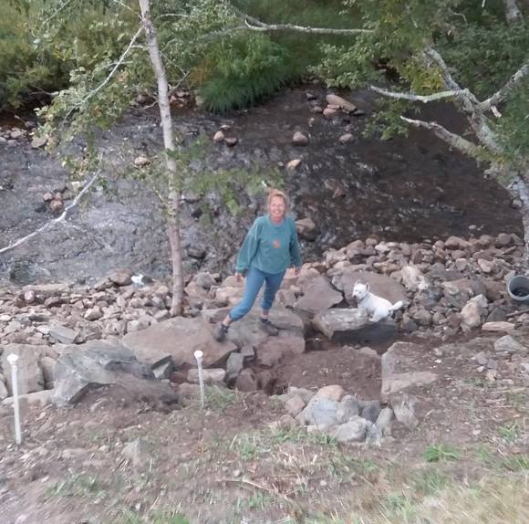 Meet your Posher, Bettina - Picture 1 of 1